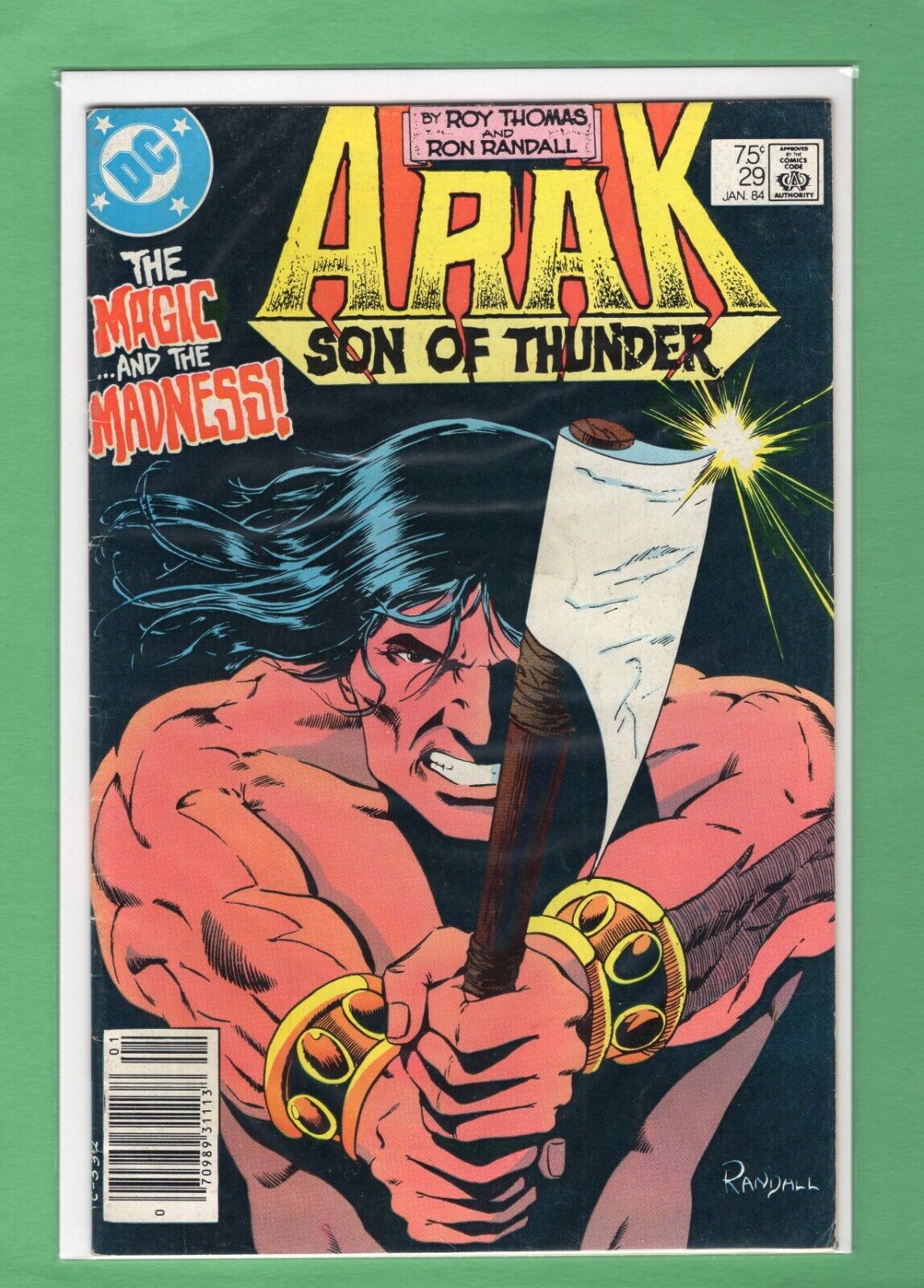 Arak Son of Thunder #29 1984 DC Comics