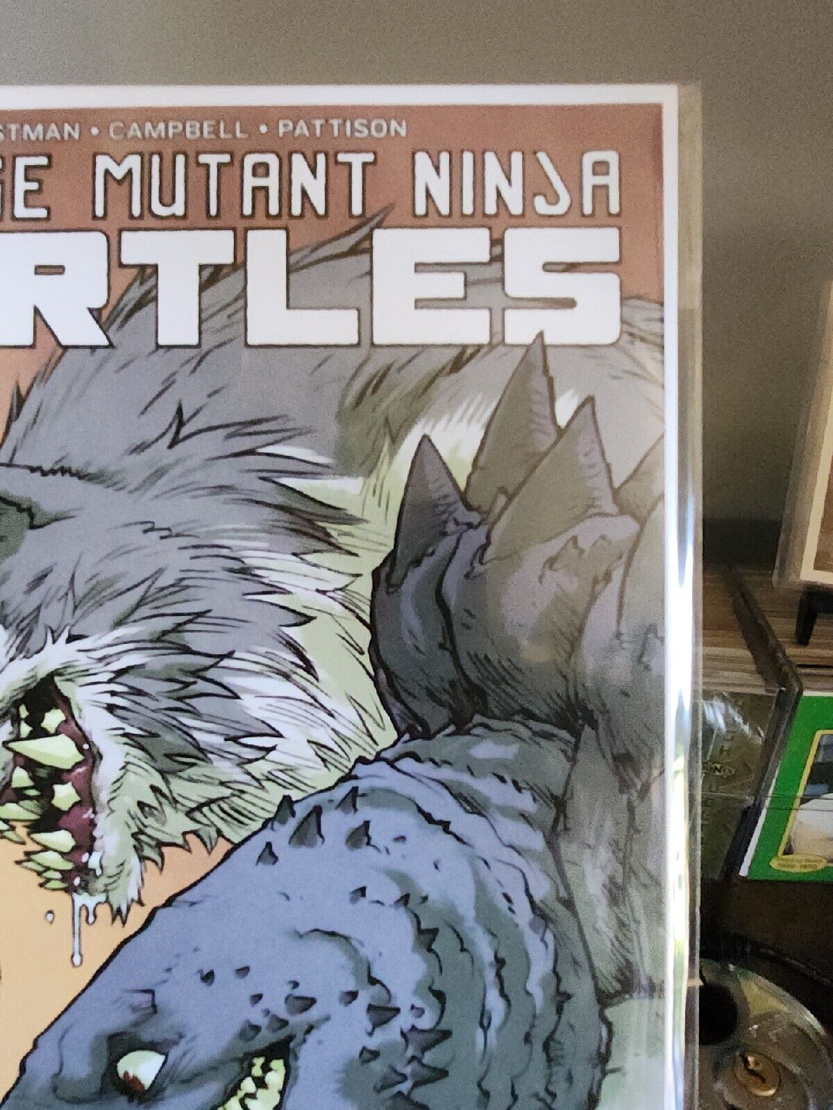 Teenage Mutant Ninja Turtles #115 Cover A B Set 1:10 NM